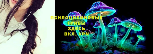 синтетический гашиш Алексин