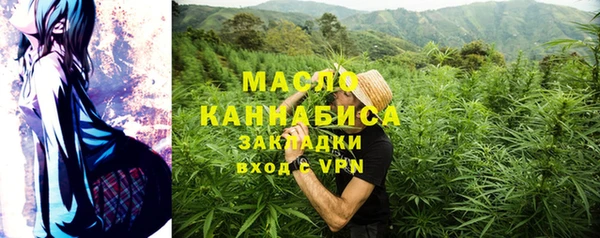 дурь Новодвинск