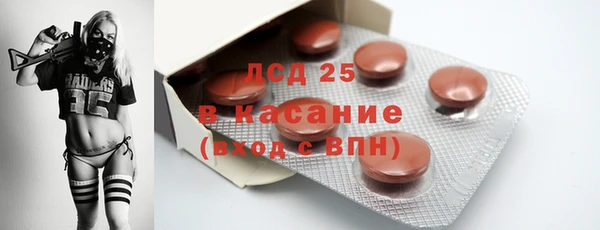 прущий лед Алзамай