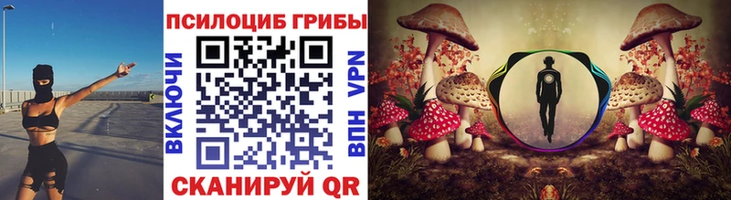 Галлюциногенные грибы Psilocybe  Мирный 