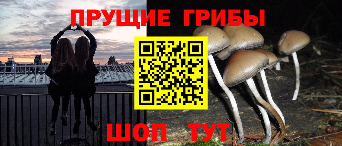 Мирный  Галлюциногенные грибы мухоморы  Вход с VPN 